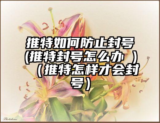 推特如何防止封号(推特封号怎么办 )（推特怎样才会封号）