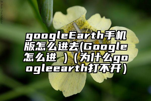 googleEarth手机版怎么进去(Google怎么进 )（为什么googleearth打不开）