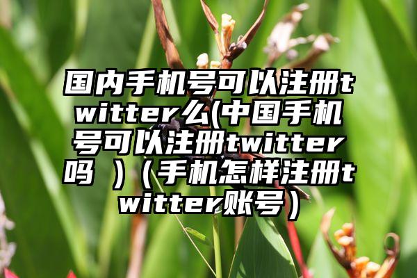 国内手机号可以注册twitter么(中国手机号可以注册twitter吗 )（手机怎样注册twitter账号）