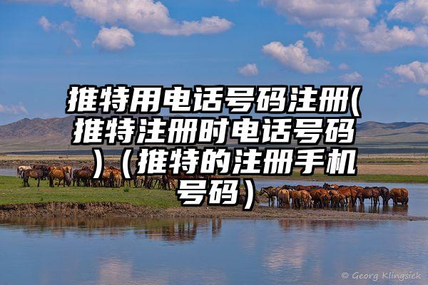 推特用电话号码注册(推特注册时电话号码 )（推特的注册手机号码）