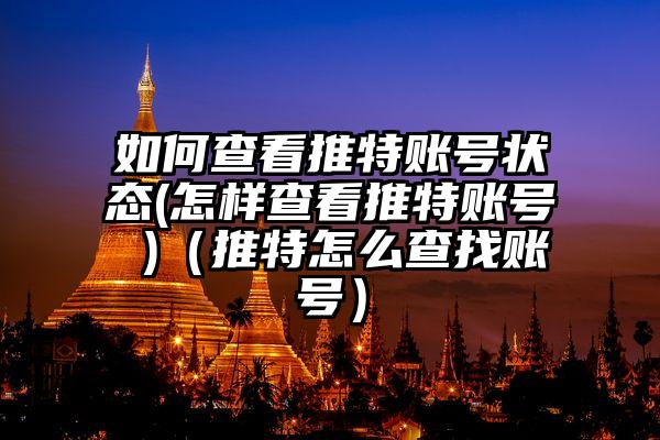 如何查看推特账号状态(怎样查看推特账号 )（推特怎么查找账号）