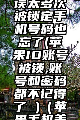 美国苹果id密码错误太多次被锁定手机号码也忘了(苹果ID账号被锁,账号和密码都不记得了 )（苹果手机美国id账号密码）