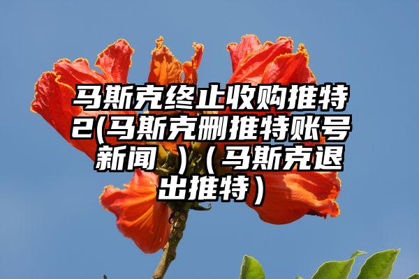 马斯克终止收购推特2(马斯克删推特账号 新闻 )（马斯克退出推特）