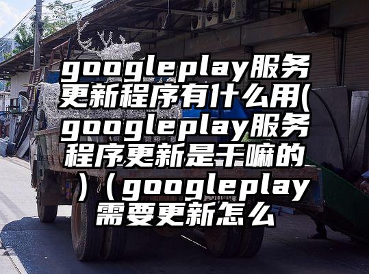 googleplay服务更新程序有什么用(googleplay服务程序更新是干嘛的 )（googleplay需要更新怎么