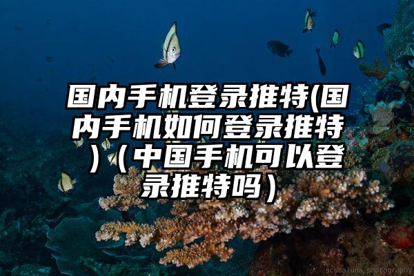 国内手机登录推特(国内手机如何登录推特 )（中国手机可以登录推特吗）