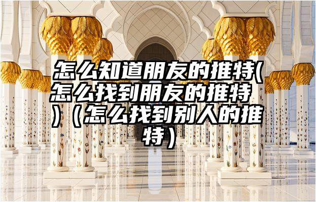 怎么知道朋友的推特(怎么找到朋友的推特 )（怎么找到别人的推特）