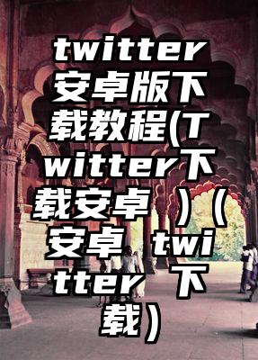 twitter安卓版下载教程(Twitter下载安卓 )（安卓 twitter 下载）