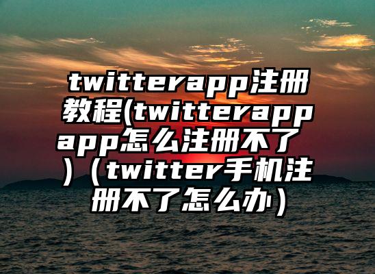 twitterapp注册教程(twitterappapp怎么注册不了 )(twitter手机注册不了怎么办)