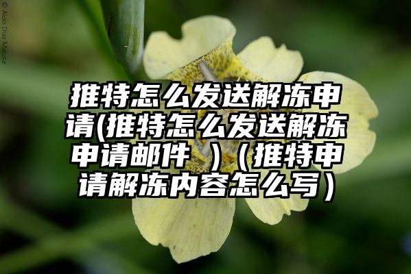 推特怎么发送解冻申请(推特怎么发送解冻申请邮件 )（推特申请解冻内容怎么写）