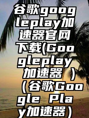 谷歌googleplay加速器官网下载(Googleplay 加速器 )（谷歌Google Play加速器）