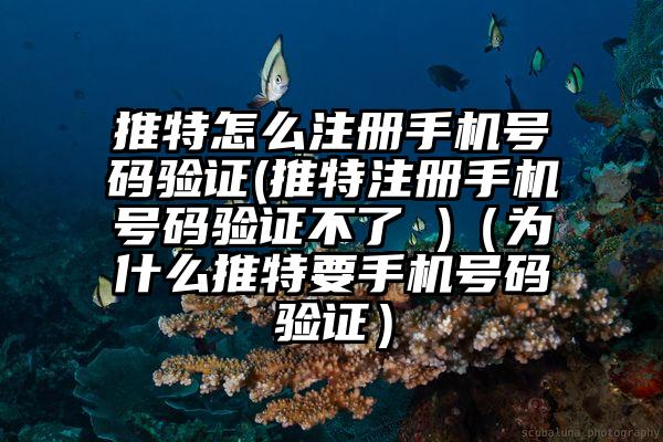 推特怎么注册手机号码验证(推特注册手机号码验证不了 )（为什么推特要手机号码验证）