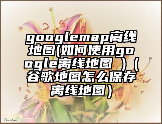 googlemap离线地图(如何使用google离线地图 )（谷歌地图怎么保存离线地图）