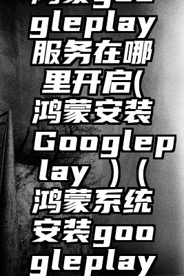 鸿蒙googleplay服务在哪里开启(鸿蒙安装Googleplay )(鸿蒙系统安装googleplay)