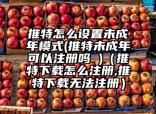 推特怎么设置未成年模式(推特未成年可以注册吗 )（推特下载怎么注册,推特下载无法注册）