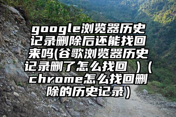 google浏览器历史记录删除后还能找回来吗(谷歌浏览器历史记录删了怎么找回 )（chrome怎么找回删除的历史记录）