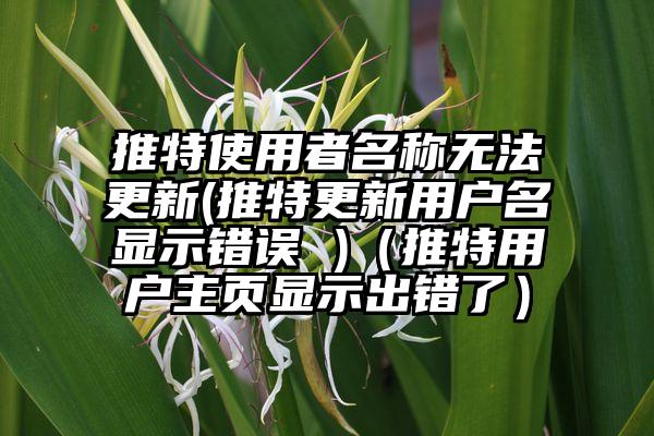 推特使用者名称无法更新(推特更新用户名显示错误 )（推特用户主页显示出错了）
