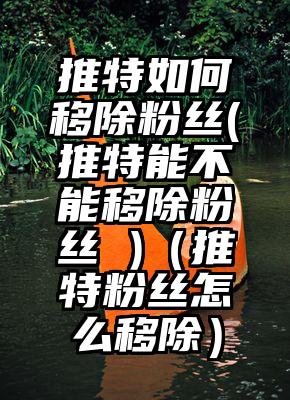 推特如何移除粉丝(推特能不能移除粉丝 )（推特粉丝怎么移除）