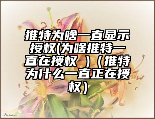 推特为啥一直显示授权(为啥推特一直在授权 )（推特为什么一直正在授权）