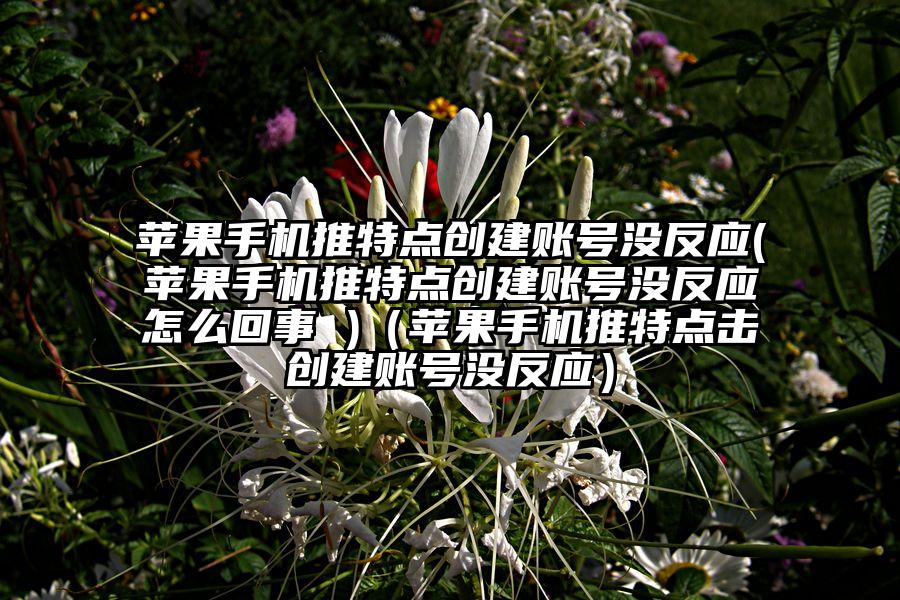 苹果手机推特点创建账号没反应(苹果手机推特点创建账号没反应怎么回事 )（苹果手机推特点击创建账号没反应）