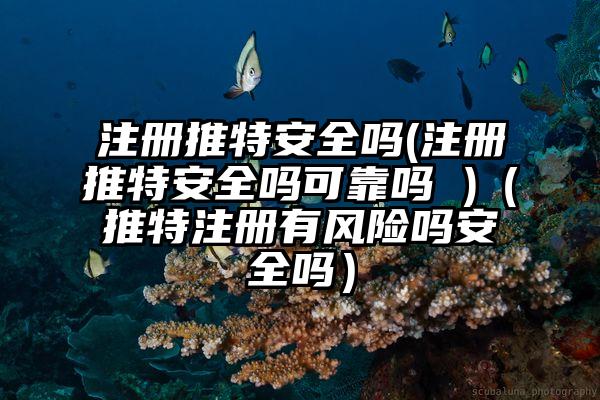 注册推特安全吗(注册推特安全吗可靠吗 )（推特注册有风险吗安全吗）