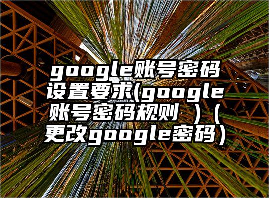 google账号密码设置要求(google账号密码规则 )（更改google密码）