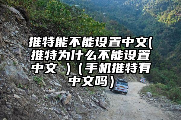推特能不能设置中文(推特为什么不能设置中文 )（手机推特有中文吗）