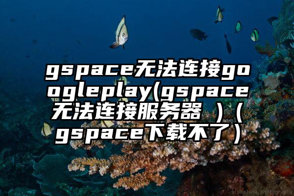 gspace无法连接googleplay(gspace无法连接服务器 )（gspace下载不了）