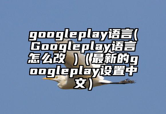 googleplay语言(Googleplay语言怎么改 )（最新的googleplay设置中文）