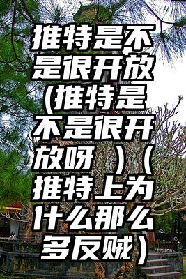 推特是不是很开放(推特是不是很开放呀 )（推特上为什么那么多反贼）
