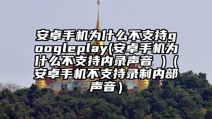 安卓手机为什么不支持googleplay(安卓手机为什么不支持内录声音 )（安卓手机不支持录制内部声音）