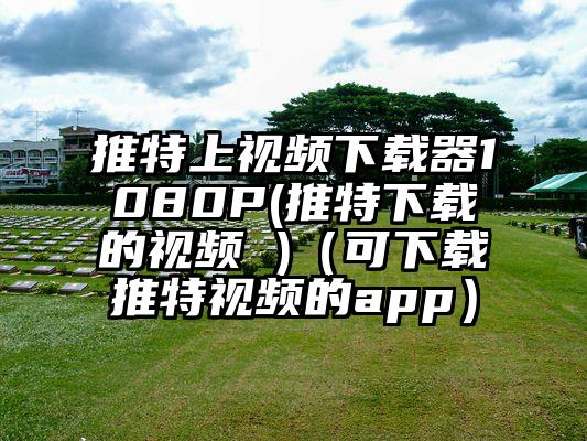推特上视频下载器1080P(推特下载的视频 )（可下载推特视频的app）