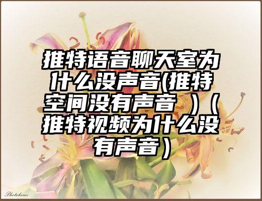 推特语音聊天室为什么没声音(推特空间没有声音 )（推特视频为什么没有声音）