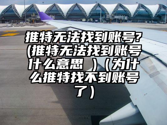 推特无法找到账号?(推特无法找到账号什么意思 )（为什么推特找不到账号了）