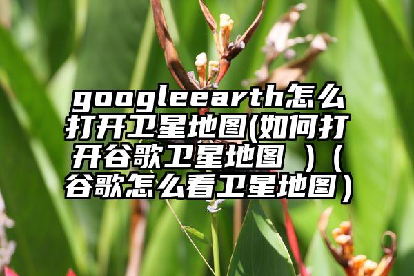 googleearth怎么打开卫星地图(如何打开谷歌卫星地图 )（谷歌怎么看卫星地图）