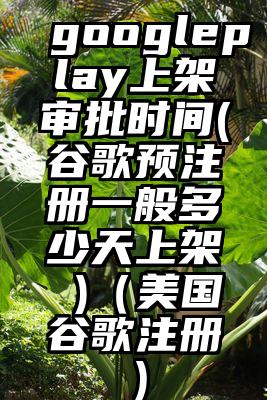 googleplay上架审批时间(谷歌预注册一般多少天上架 )（美国谷歌注册）