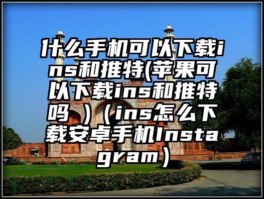 什么手机可以下载ins和推特(苹果可以下载ins和推特吗 )（ins怎么下载安卓手机Instagram）