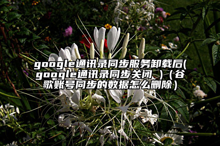 google通讯录同步服务卸载后(google通讯录同步关闭 )（谷歌账号同步的数据怎么删除）