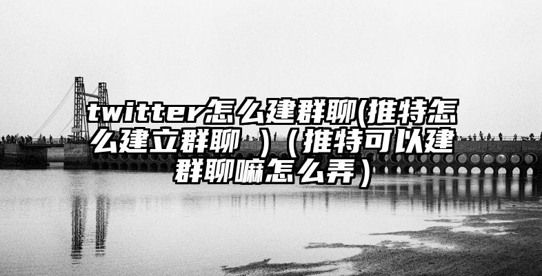 twitter怎么建群聊(推特怎么建立群聊 )（推特可以建群聊嘛怎么弄）
