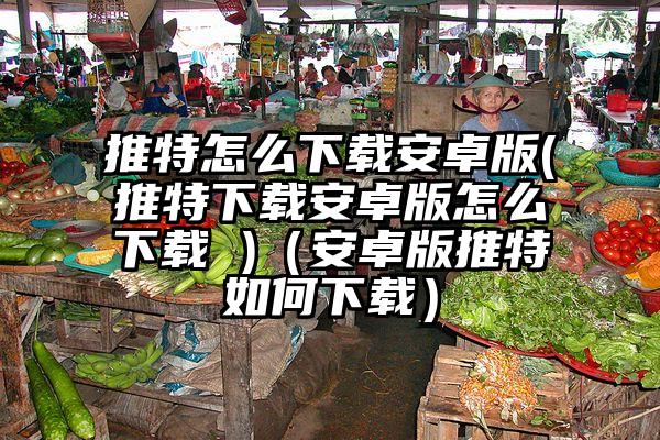 推特怎么下载安卓版(推特下载安卓版怎么下载 )（安卓版推特如何下载）