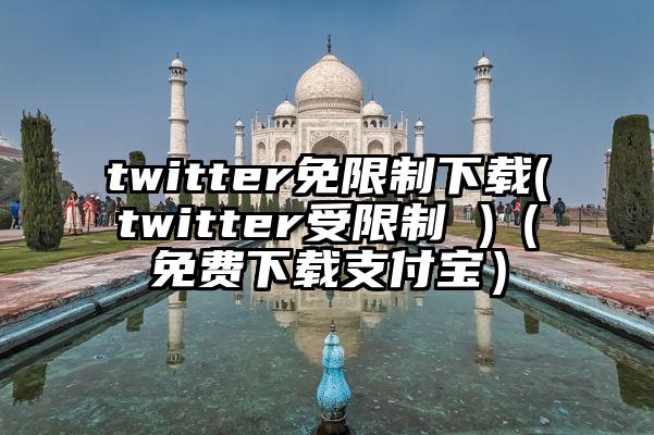 twitter免限制下载(twitter受限制 )（免费下载支付宝）