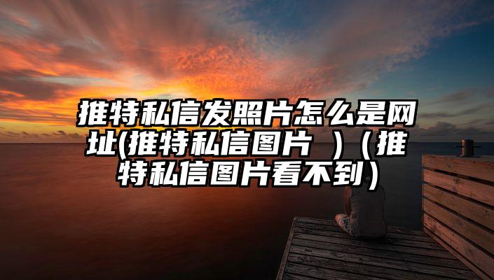 推特私信发照片怎么是网址(推特私信图片 )（推特私信图片看不到）