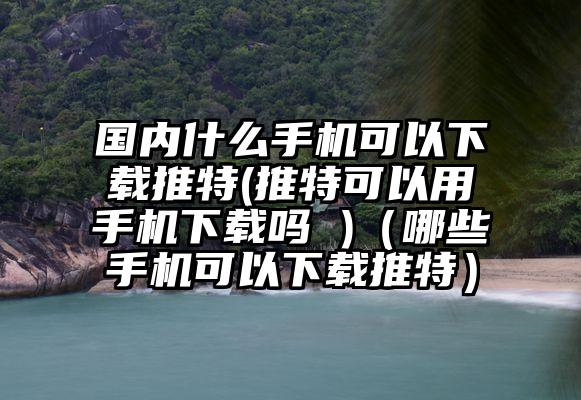 国内什么手机可以下载推特(推特可以用手机下载吗 )（哪些手机可以下载推特）