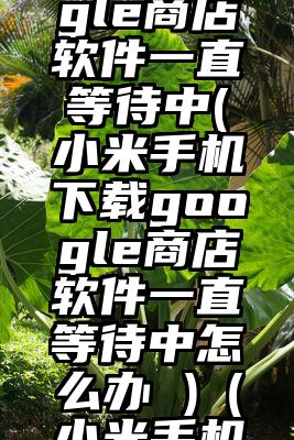 小米手机下载google商店软件一直等待中(小米手机下载google商店软件一直等待中怎么办 )（小米手机谷歌商店下载一