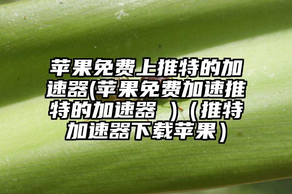 苹果免费上推特的加速器(苹果免费加速推特的加速器 )（推特加速器下载苹果）