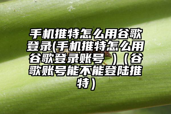 手机推特怎么用谷歌登录(手机推特怎么用谷歌登录账号 )（谷歌账号能不能登陆推特）