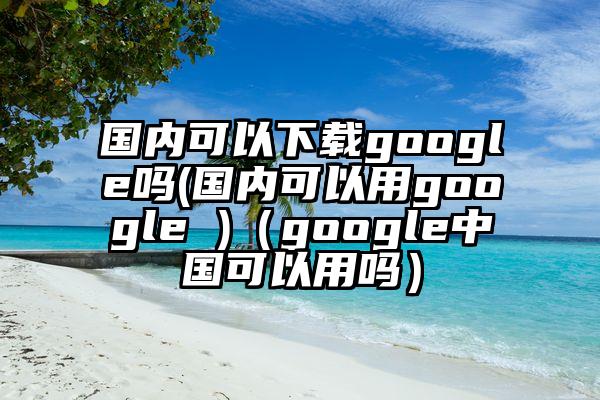 国内可以下载google吗(国内可以用google )（google中国可以用吗）