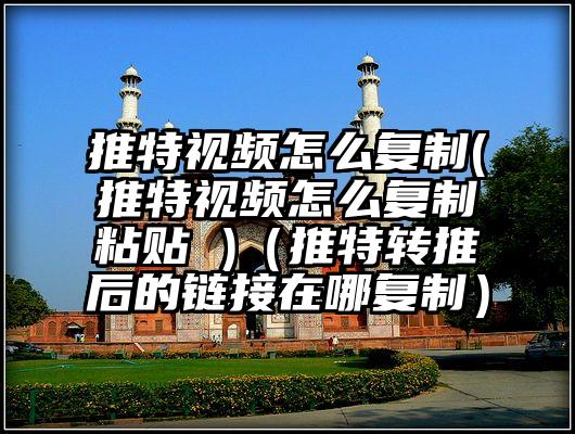推特视频怎么复制(推特视频怎么复制粘贴 )（推特转推后的链接在哪复制）
