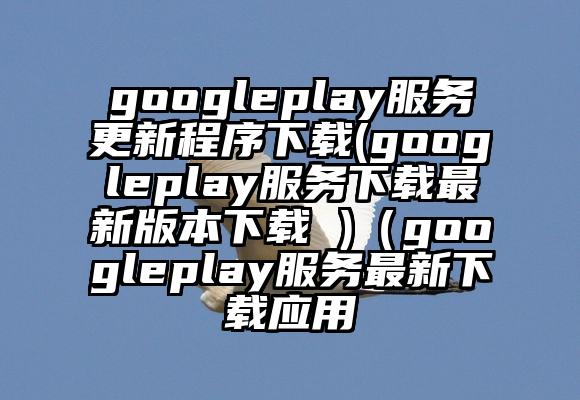 googleplay服务更新程序下载(googleplay服务下载最新版本下载 )（googleplay服务最新下载应用