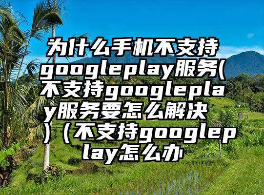 为什么手机不支持googleplay服务(不支持googleplay服务要怎么解决 )（不支持googleplay怎么办