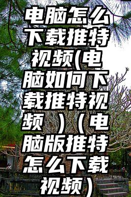 电脑怎么下载推特视频(电脑如何下载推特视频 )（电脑版推特怎么下载视频）